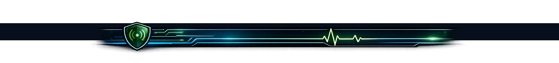 Signals and Safeguards footer
